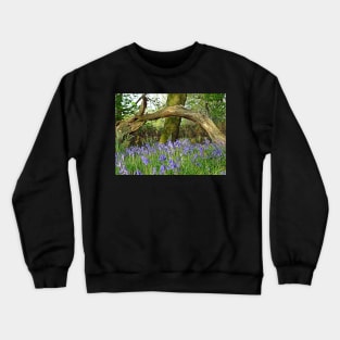 Bluebells under Deadwood Crewneck Sweatshirt